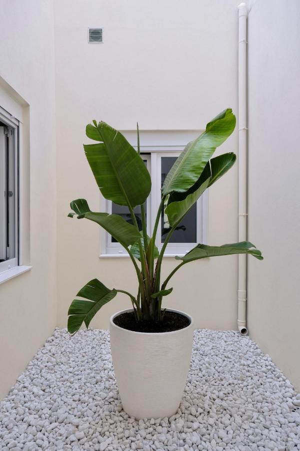 Urban Oasis La Palma Lägenhet Santa Cruz de la Palma  Exteriör bild